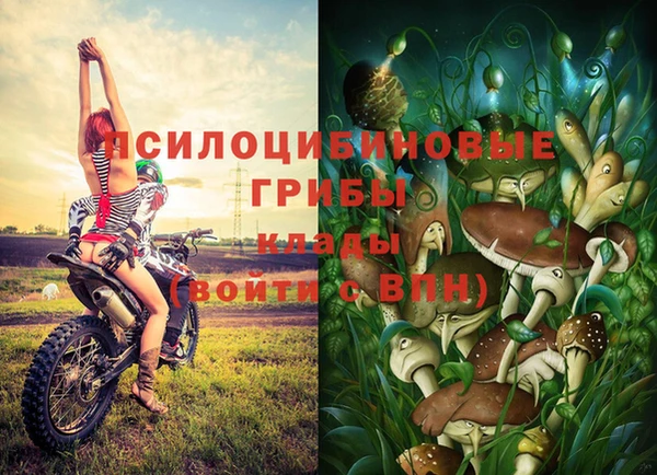 ГАЛЛЮЦИНОГЕННЫЕ ГРИБЫ Костерёво