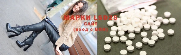 ГАЛЛЮЦИНОГЕННЫЕ ГРИБЫ Костерёво